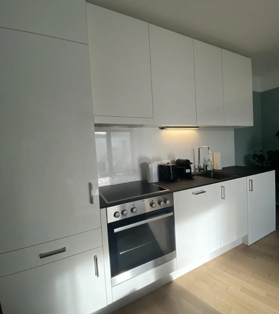 Apartamento Decorous Cozy City View Suite Viena