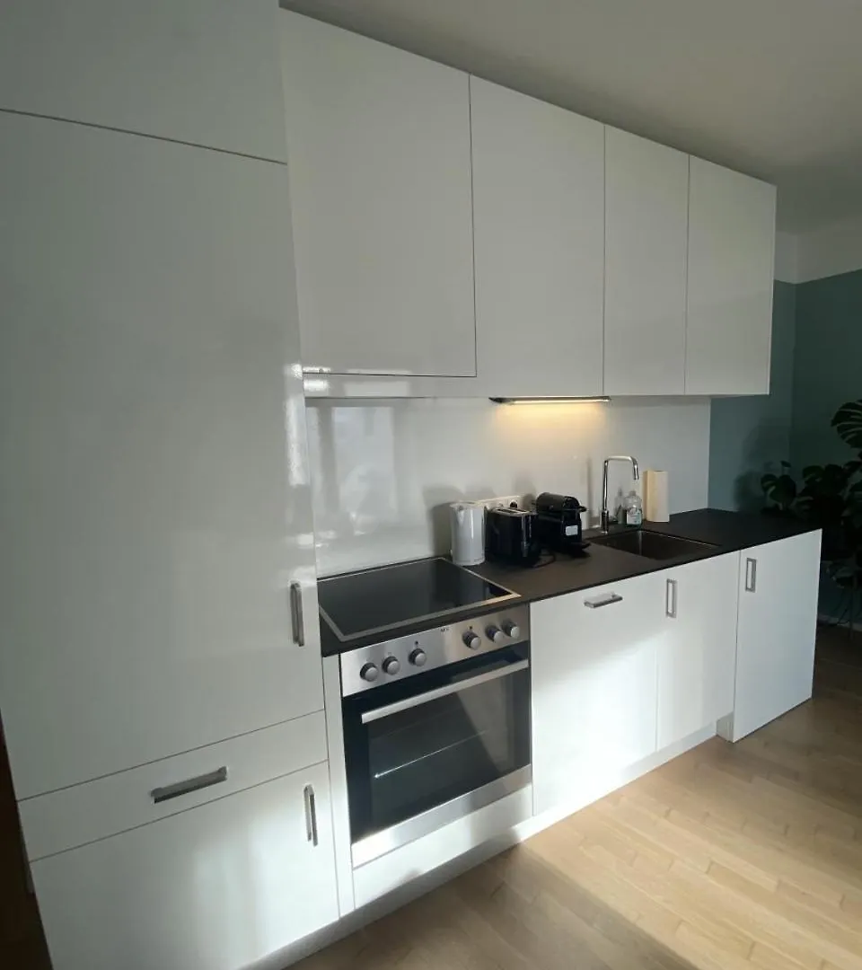 Decorous Cozy City View Suite Vienne Appartement