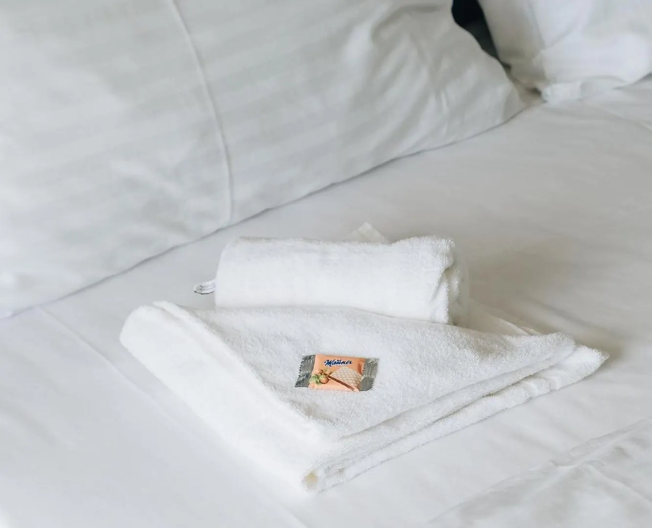 Decorous Cozy City View Suite Vienne